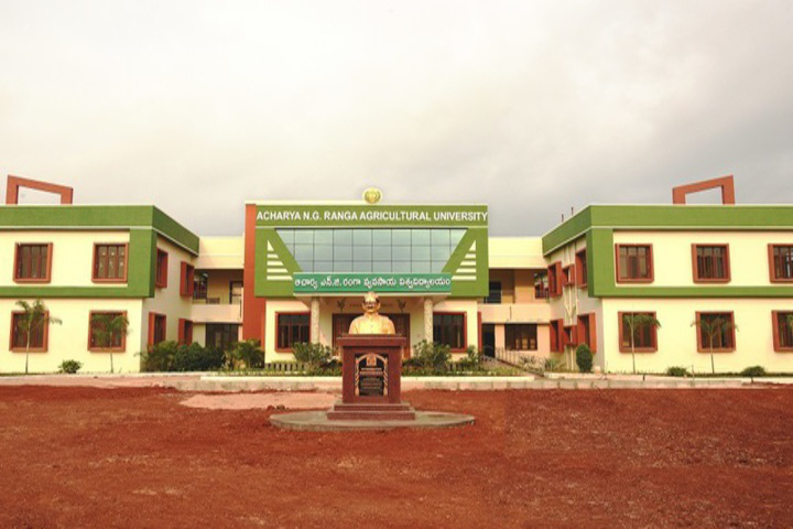 Acharya NG Ranga Agricultural University, Guntur Campus View of Acharya NG Ranga Agricultural University Guntur